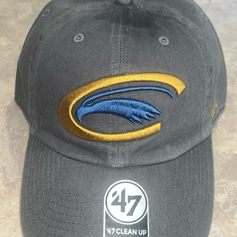CLARION GOLDEN EAGLES’47 BRAND STRAPBACK HAT NWT - Picture 2 of 7